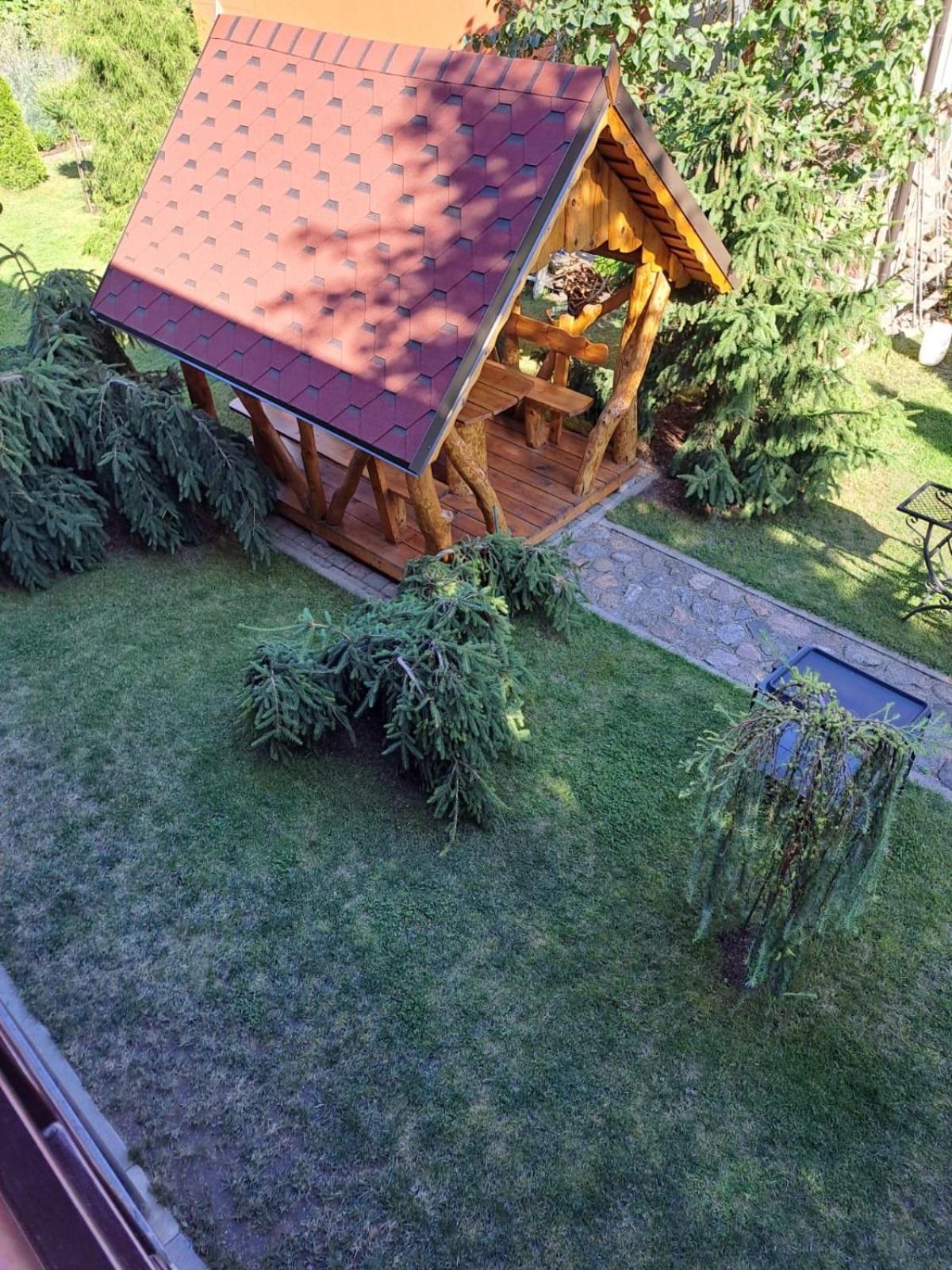 Zelta Pirts Guest House ベンツピルス エクステリア 写真